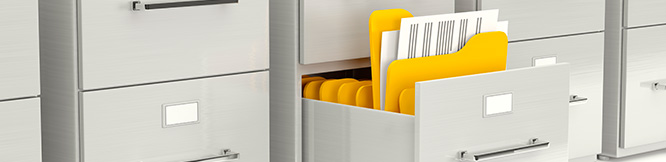 Self Storage Plus Business Document Storage